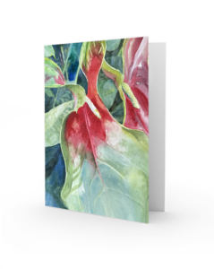 Anthurium